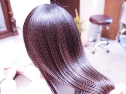 ランブリィ(L'EMBELLIE)の写真
