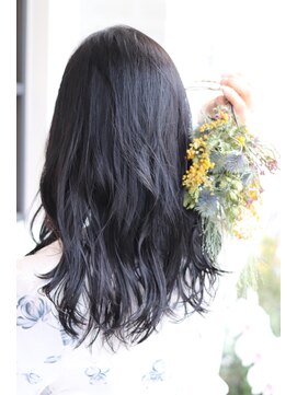 アルベロ(ALBERO) 【ALBERO】ブラックバイオレット