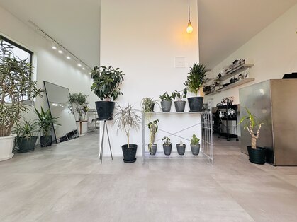 アップ(App.to)の写真