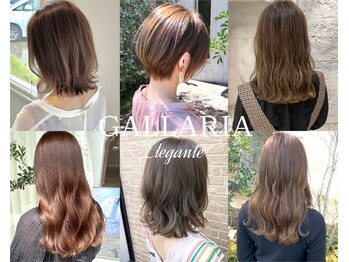 ガレリアエレガンテ 可児店(GALLARIA Elegante)の写真/コンテスト受賞歴や講師経験のあるトップスタイリストの高い技術と丁寧なカウンセリングでなりたいが叶う♪