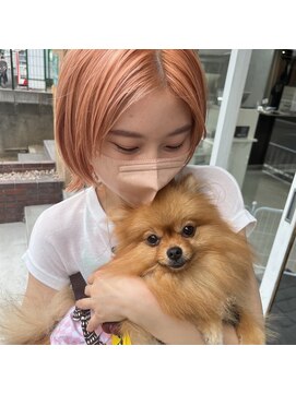 パーミル ヨコハマ(permille Yokohama) ペールオレンジ×犬