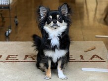 エネルジア(ENERGEIA)の雰囲気（看板犬のカフーくんがお迎えします☆）