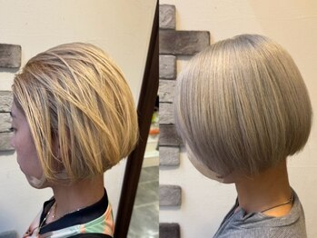 K's　美人増強計画