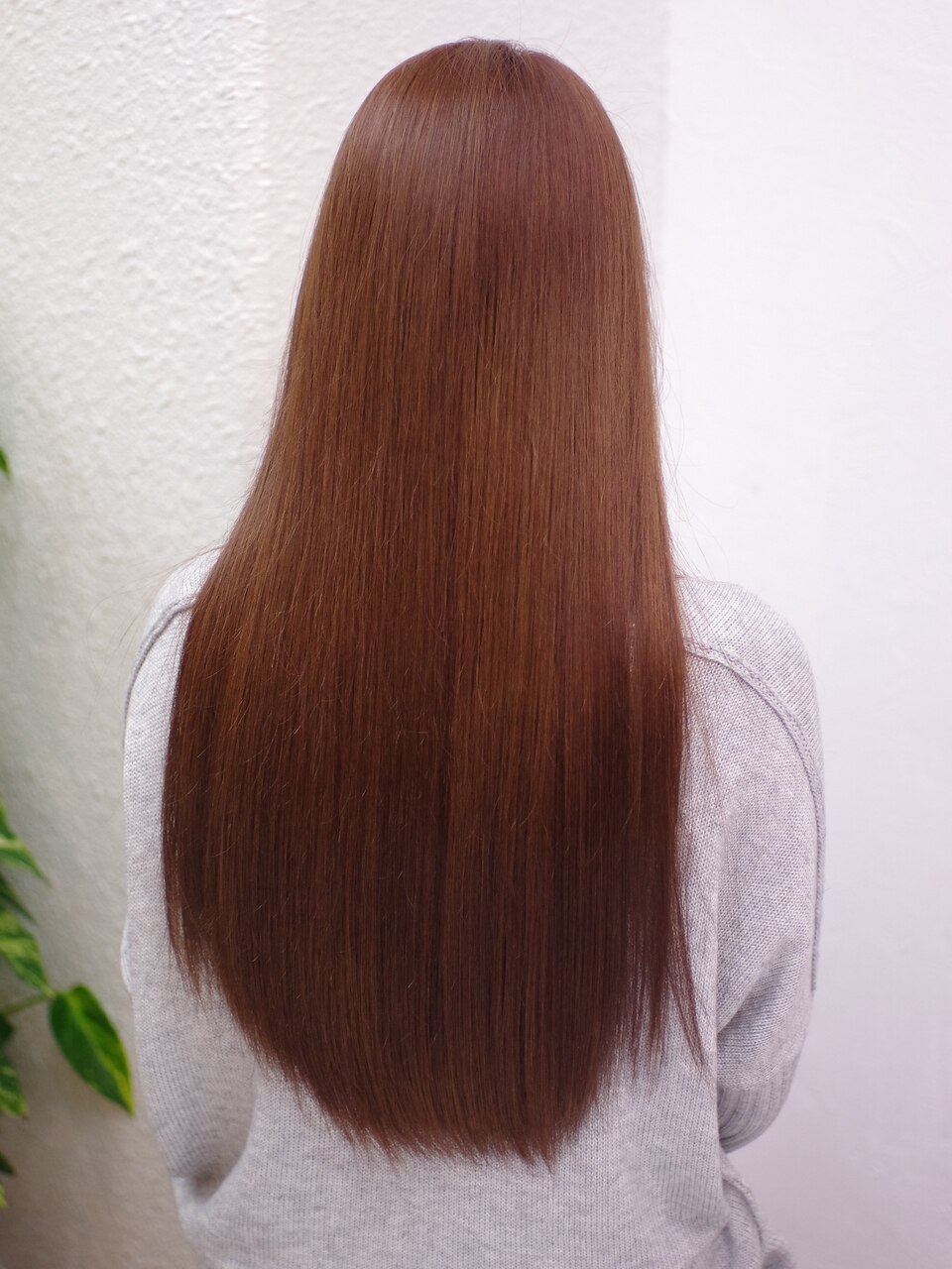 RecRe hair】イルミナカラーコーラル×サファリ：L002573425