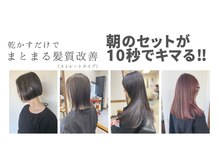 ロッティ(lotti)