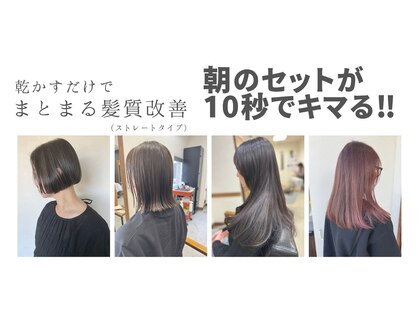 ロッティ(lotti)の写真