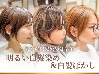 アリエッタ ギンザツー(ARIETTA GINZA2)の写真