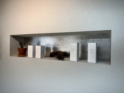 イロドリ(irodori)の写真