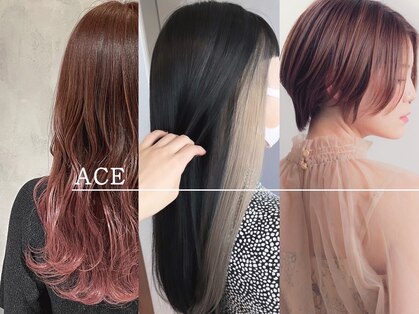 エース(ACE)の写真