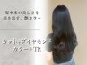 【髪本来の艶を|髪質改善】カット+ダイヤモンドカラー+TR(ホームケア付)