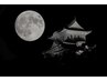 【19時や20時のナイター予約】各クーポンの価格