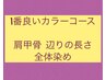 一番良いカラーコース ●肩甲骨 辺りの長さ 全体染め