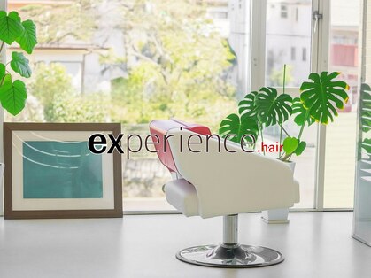 エクスペリエンス(experience)の写真