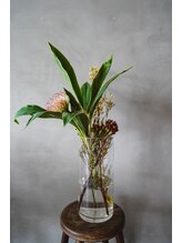 オルティ(OLTI) OLTI