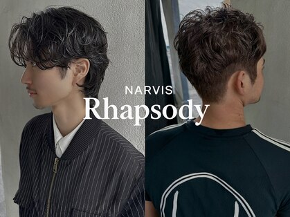 ナービス ラプソディー(NARVIS Rhapsody)の写真