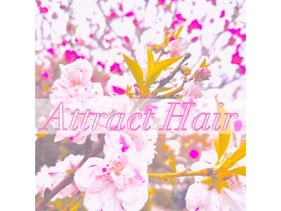 アトラクトヘアー バイ ミューズ(Attract hair by MUSE)