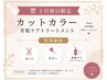 【土日祝限定】カット＋艶カラー(白髪染め可)＋美髪ケアトリートメント
