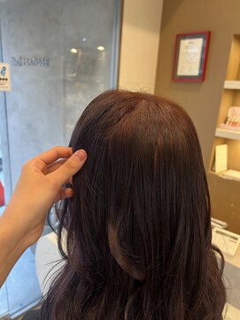 ラベンダーピンク