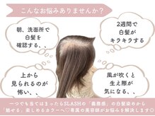 スラッシュ ホワイト(SLASH white)の雰囲気（ストレス白髪を『魅せる白髪』へ◎）