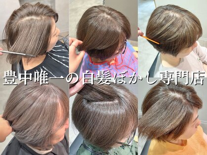 ミルシェ(MILSHE)の写真