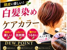 デューポイント 大桑店(DEW POINT)