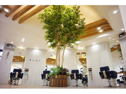 ラパンセ ブルー(LA PENSEE BLEU)の写真