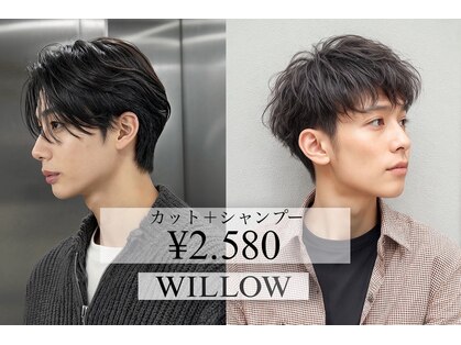 ウィロー(WILLOW)の写真