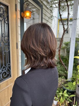 チョコレート(chocolate) ソフトウルフ