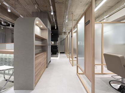 カリン (carin)の写真