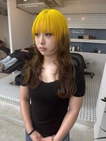 スティーン(STEEN)&nbsp;イエロールーツカラー／デザインカラー