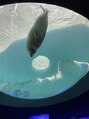 ヘアーメイクパウダー 天王寺寺田町店(Hair make powder) プライベートで子供達と行った海遊館で。お出かけ大好きです。