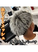 短髪/ホワイトメッシュ/ツイストパーマ