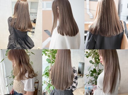 ミント(mint)の写真