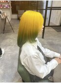 レモンイエローグラデーションカラーグリーン本厚木