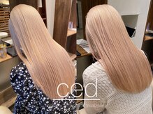 シード 成増 下赤塚店(ced.)