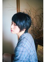 ザップ(ZAP)&nbsp;ボブレイヤー