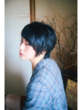 ザップ(ZAP) ボブレイヤー