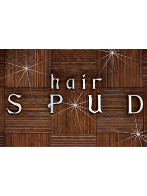 ヘアースパッド(hair SPUD)