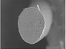 水と油分の大切さ
