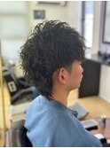 ウルフツイスパ