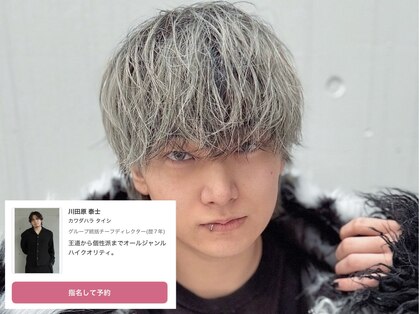 スティミュラス(Stimulus)の写真