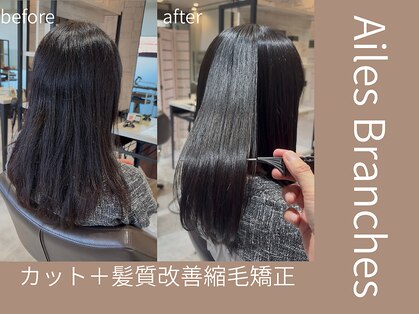 エル ブランシェ(Ailes Branches)の写真