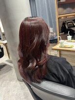 リーオオサカ(Lee Osaka) レッドブラウン×東芽生