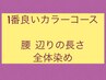 一番良いカラーコース ●腰 辺りの長さ 全体染め