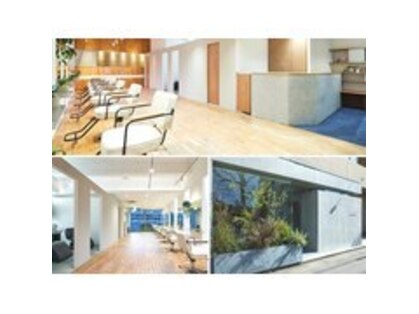 ブランチヘアー(branch hair)の写真