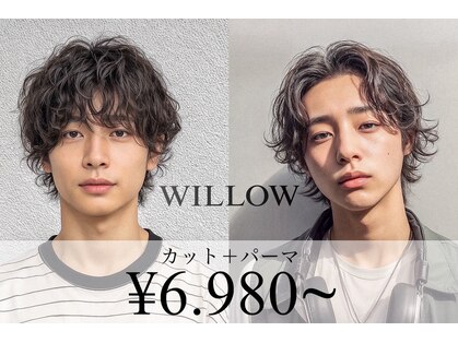 ウィロー(WILLOW)の写真