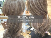 ヌンクマールス(NUNC malus)