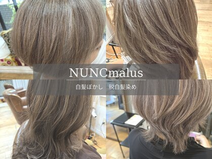 ヌンクマールス(NUNC malus)の写真