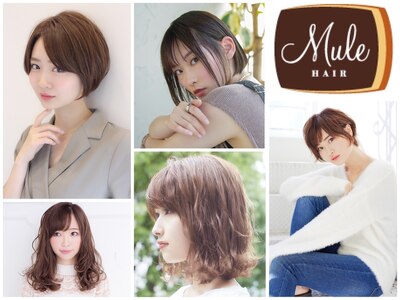 ミュールヘアー(Mule HAIR)