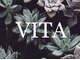 ヴィータ(VITA)の写真